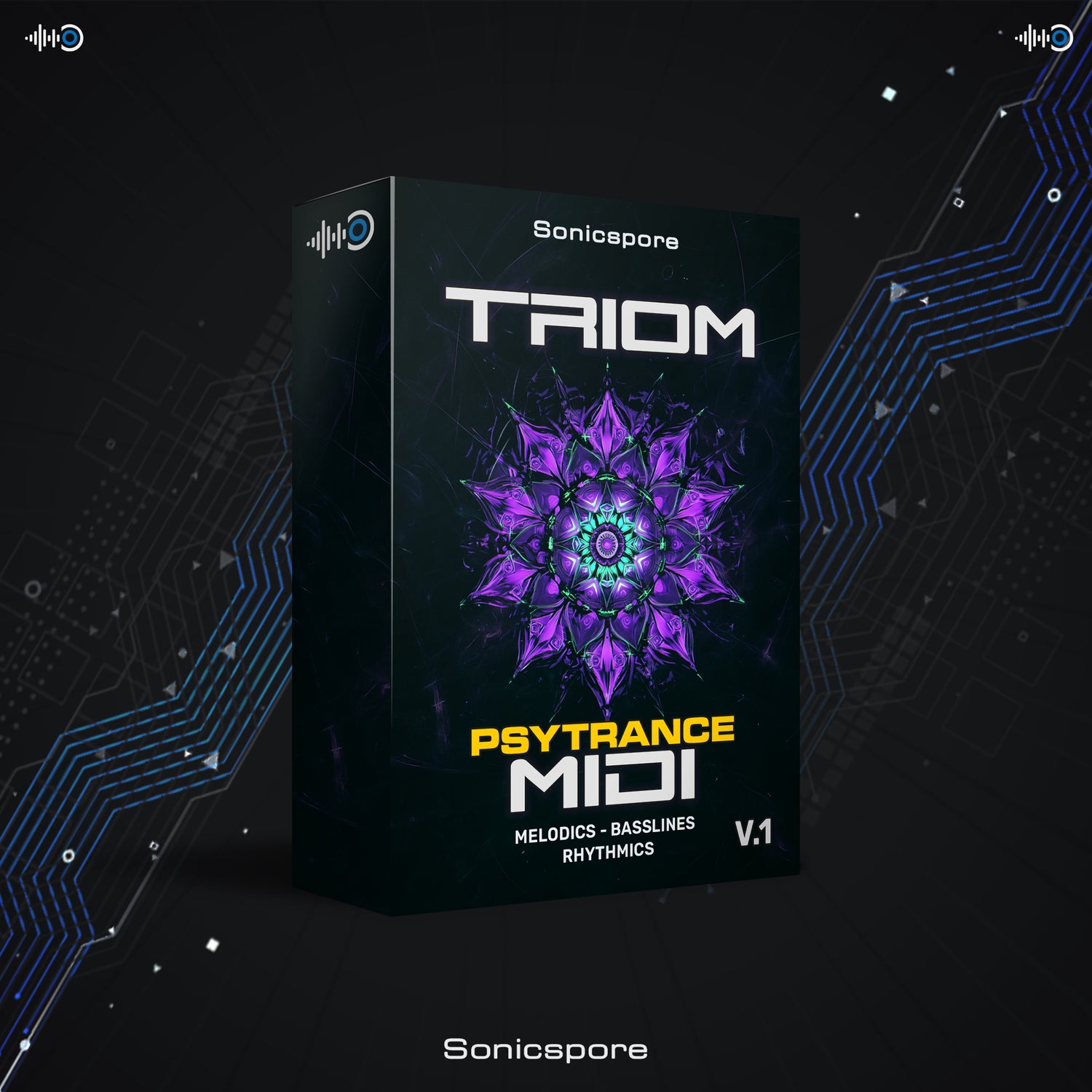 Psytrance MIDI library for DAW arrangement including bass patterns, melodic lines and rhythmic step sequences for electronic music producers