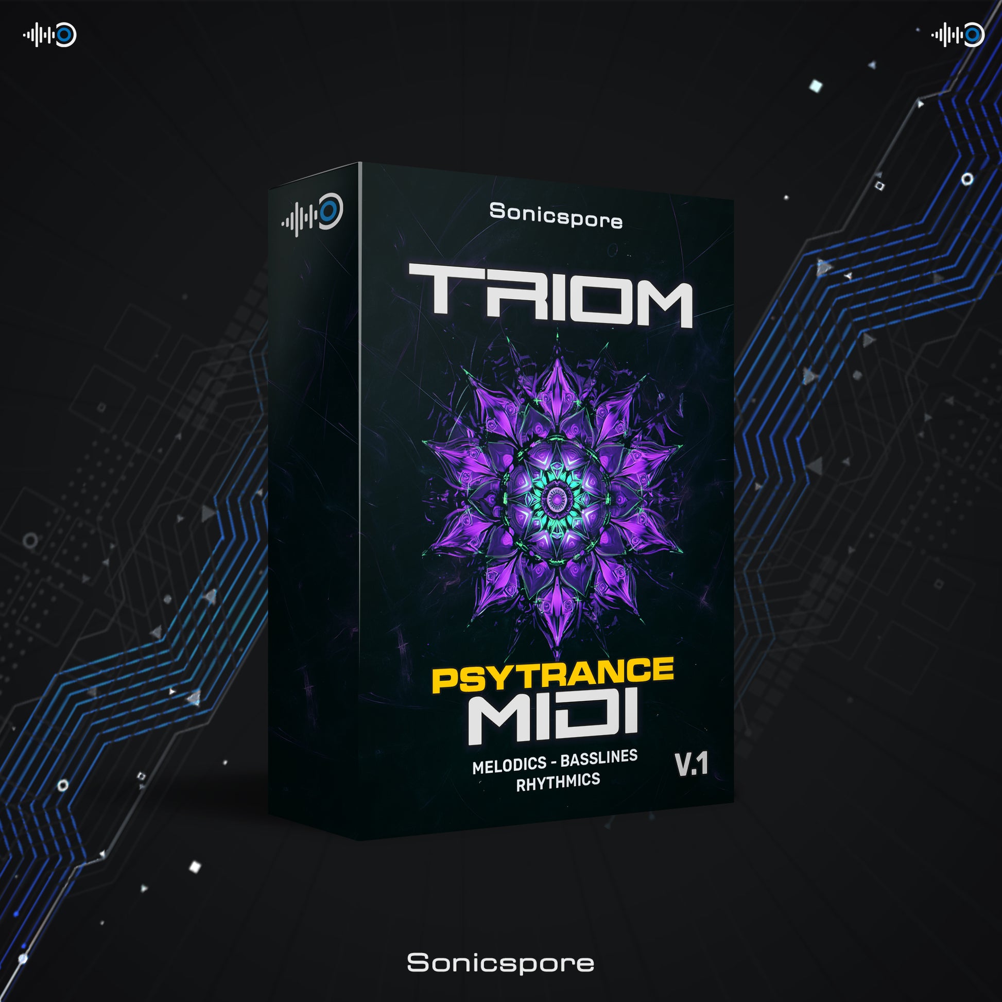 Psytrance MIDI library for DAW arrangement including bass patterns, melodic lines and rhythmic step sequences for electronic music producers